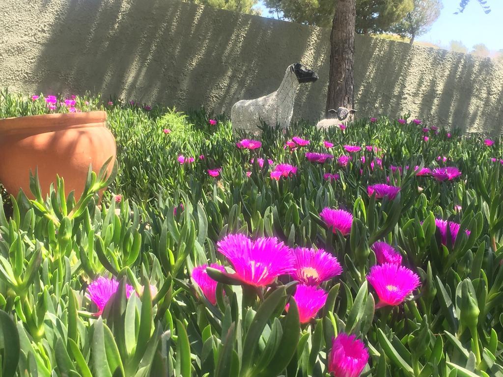 Finca El Otero Aigues エクステリア 写真