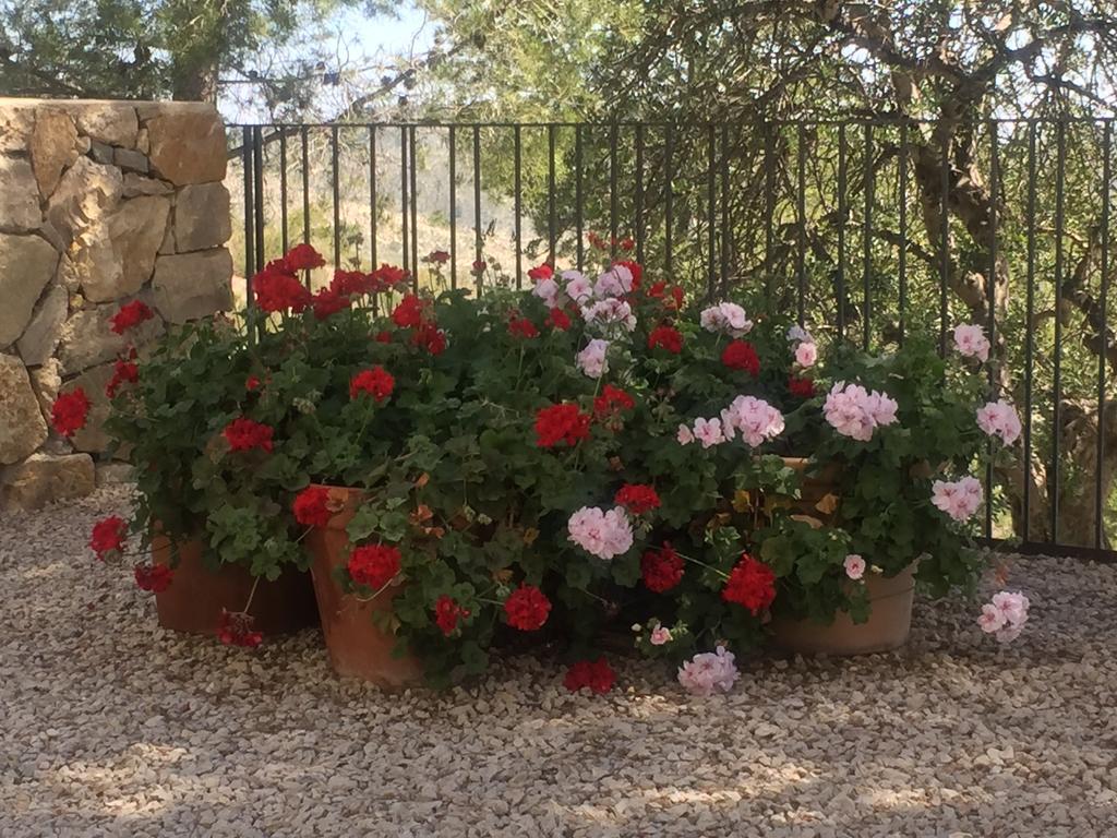 Finca El Otero Aigues エクステリア 写真