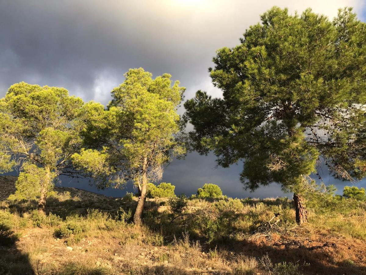 Finca El Otero Aigues エクステリア 写真